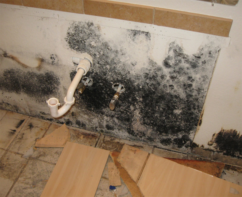 Glendale mold remediation AZ