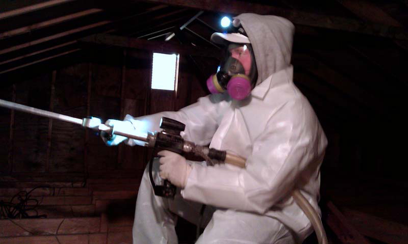 mold remediation Glendale